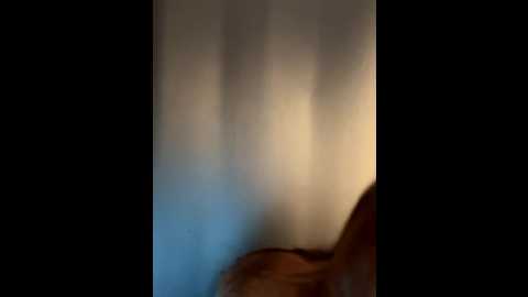 lillukatten @ stripchat on 20251129