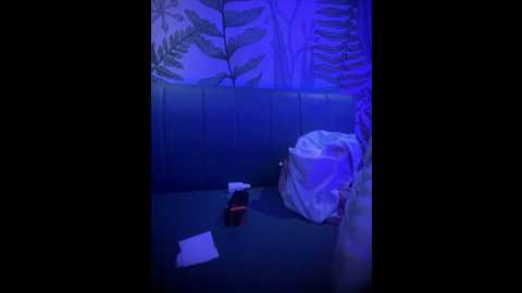 littleqiu @ stripchat on 20251129