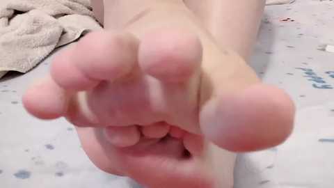 lt_333 @ stripchat on 20251129