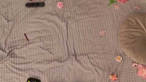 mila_wxw @ stripchat on 20251129