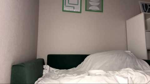 petulagunton @ stripchat on 20251129