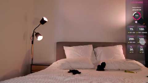 wow_peach_girl @ stripchat on 20251129