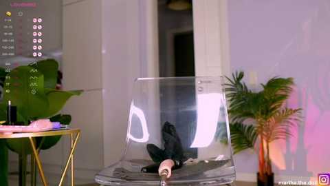 yumeko_midari @ stripchat on 20251129