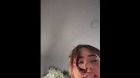 aryrosee @ stripchat on 20251130