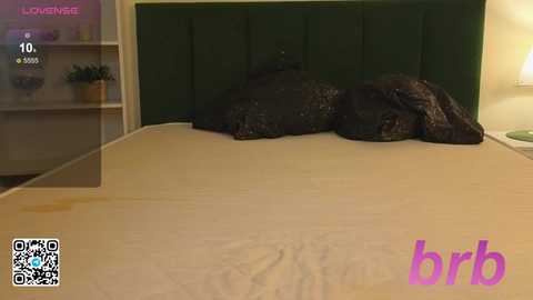 bonnie_white @ stripchat on 20251130