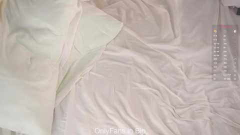 cheriesprinzl @ stripchat on 20251130