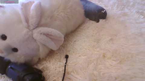 lisahoneylisa @ stripchat on 20251130