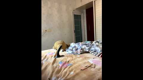 tiantiandao @ stripchat on 20251130