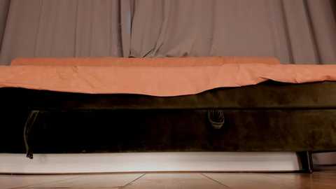 tinki_winkii @ stripchat on 20251130