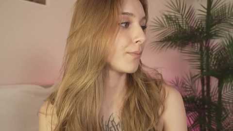 vegas_v @ stripchat on 20251130