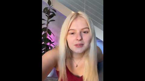 allylove03 @ stripchat on 20251201
