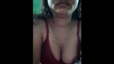 ankitahot1993 @ stripchat on 20251201