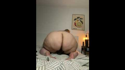 bbw_nora @ stripchat on 20251201