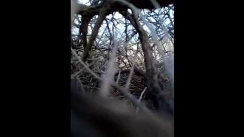 camy721 @ stripchat on 20251201