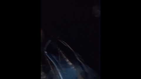 darkdea @ stripchat on 20251201