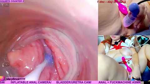 marybrook1 @ stripchat on 20251201