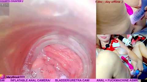 marybrook1 @ stripchat on 20251201