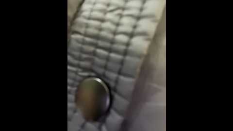 natakitten @ stripchat on 20251201