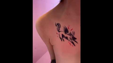 rinamay_ @ stripchat on 20251201