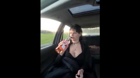 shasa29 @ stripchat on 20251201