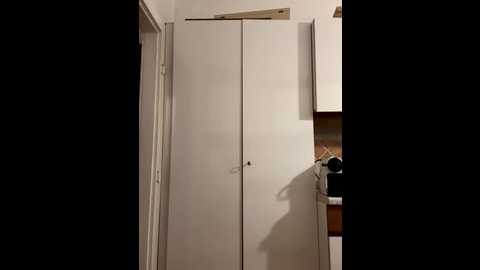 sophiiastarr @ stripchat on 20251201