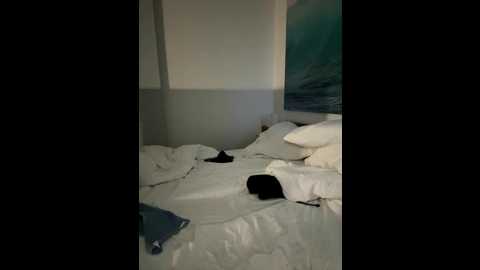 _leasophie @ stripchat on 20251202