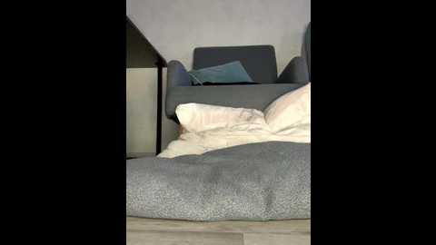 adelina0001 @ stripchat on 20251202