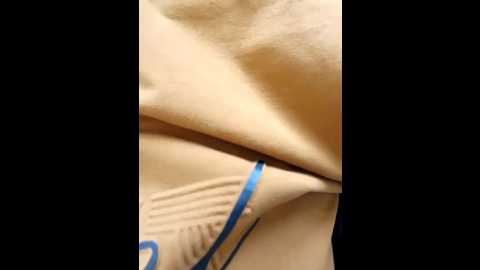 broan_me @ stripchat on 20251202