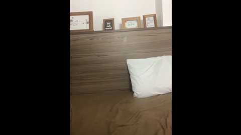 demon_foxes @ stripchat on 20251202