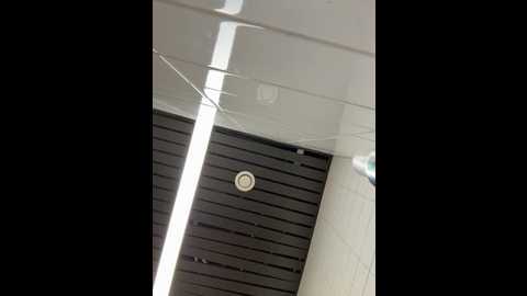 dina_tease @ stripchat on 20251202