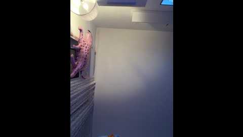 emilywi_ @ stripchat on 20251202