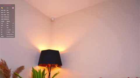 engelcoyner @ stripchat on 20251202