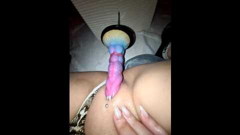 iitaniee @ stripchat on 20251202