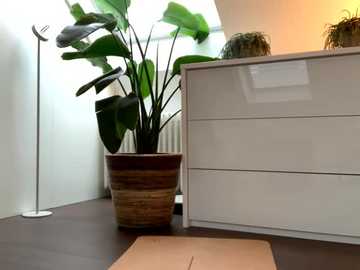 nikitasky @ stripchat on 20251202