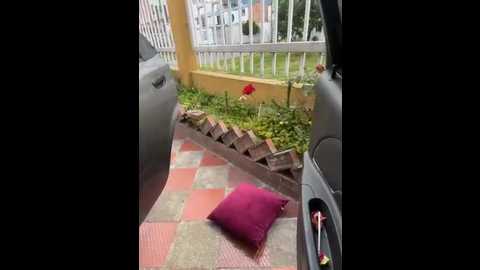 samantha_firee @ stripchat on 20251202