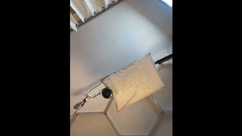 steffi_snowbunny @ stripchat on 20251202