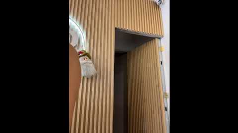 clarachanelricek @ stripchat on 20251203