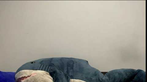 lorrebak @ stripchat on 20251203