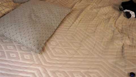 lynhillaire @ stripchat on 20251203