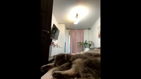 mariid @ stripchat on 20251203