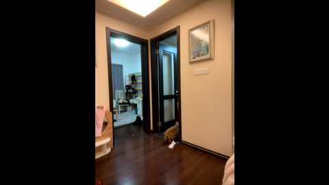 yourkeer @ stripchat on 20251203