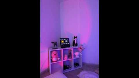 _nobara__ @ stripchat on 20251204