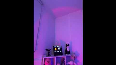 _nobara__ @ stripchat on 20251204