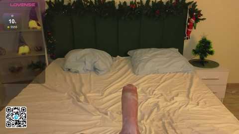 bonnie_white @ stripchat on 20251204