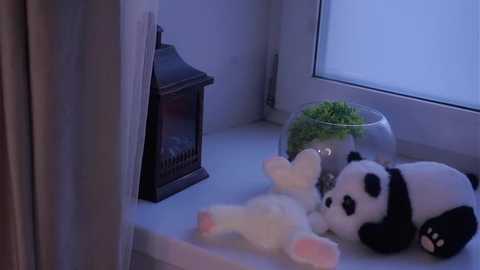 edlinhargus @ stripchat on 20251204