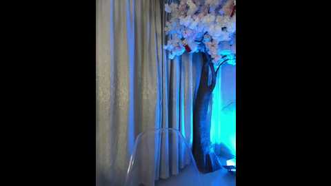 jesse_veraa_ @ stripchat on 20251204