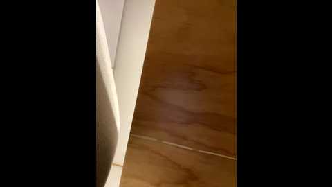 katee_jones @ stripchat on 20251204