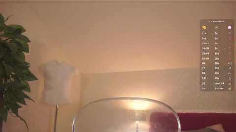 leonabelhumeur @ stripchat on 20251204