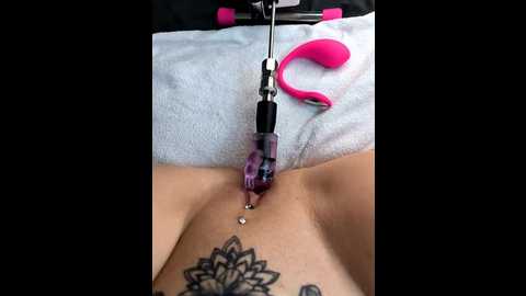 linalicious @ stripchat on 20251204