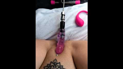 linalicious @ stripchat on 20251204